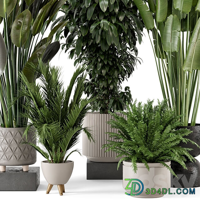 Indoor Plants in rusty Concrete Pot Set 542 3D Models