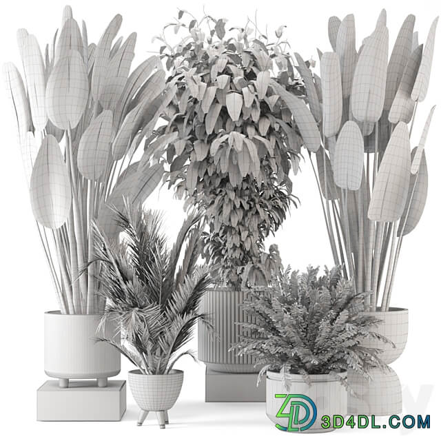 Indoor Plants in rusty Concrete Pot Set 542 3D Models