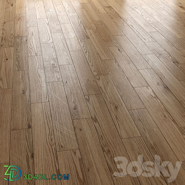 Wood floor standart and herringbone 3D Models