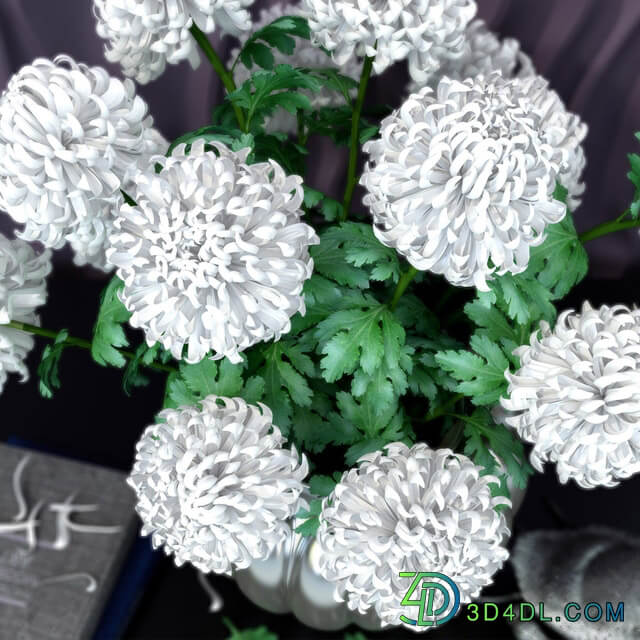 Chrysanthemum balls 3D Models