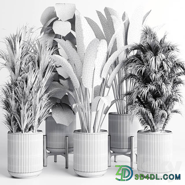 Collection indoor plant 201 plant 3D Models