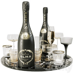 Collection of sparkling wine with crystal glasses and marble tray 3D Models 