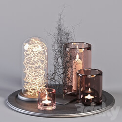 Decorative Set 16 Candles and Metal Branches 3D Models 