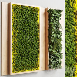 wall garden and vertical moss in wooden frame 22 Fitowall 3D Models 