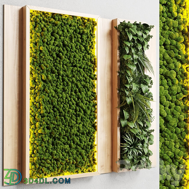 wall garden and vertical moss in wooden frame 22 Fitowall 3D Models