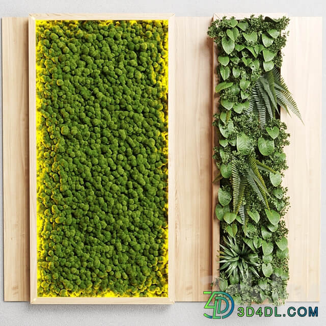 wall garden and vertical moss in wooden frame 22 Fitowall 3D Models