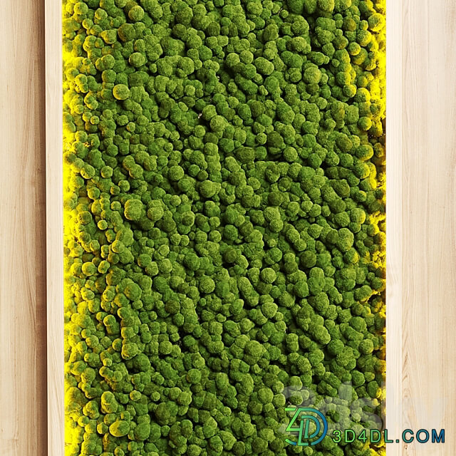 wall garden and vertical moss in wooden frame 22 Fitowall 3D Models