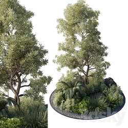 Collection outdoor indoor 89 pot plant tree bush fern the garden pot 3D Models 