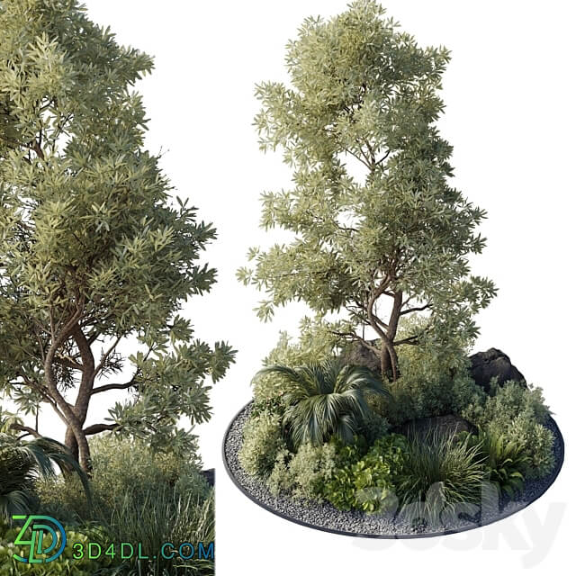 Collection outdoor indoor 89 pot plant tree bush fern the garden pot 3D Models