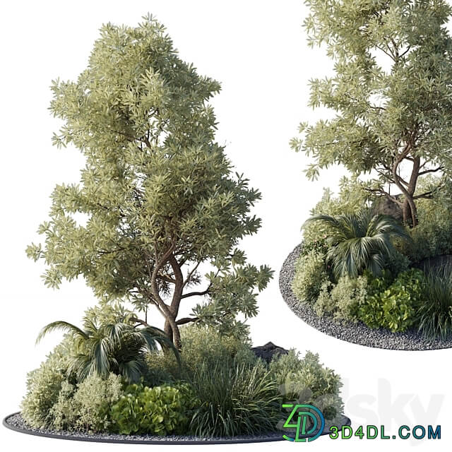 Collection outdoor indoor 89 pot plant tree bush fern the garden pot 3D Models