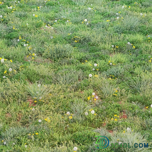 spring summer grass 3D Models