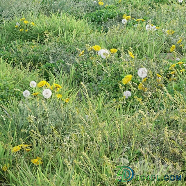 spring summer grass 3D Models