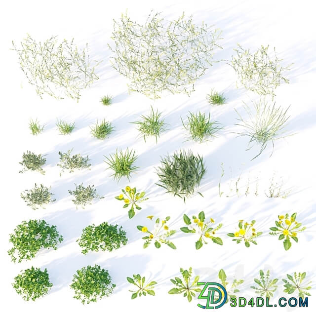 spring summer grass 3D Models