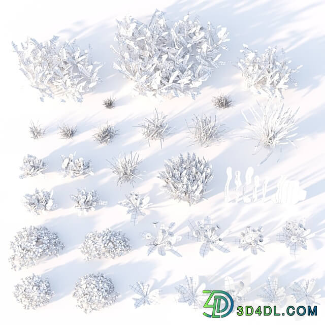 spring summer grass 3D Models