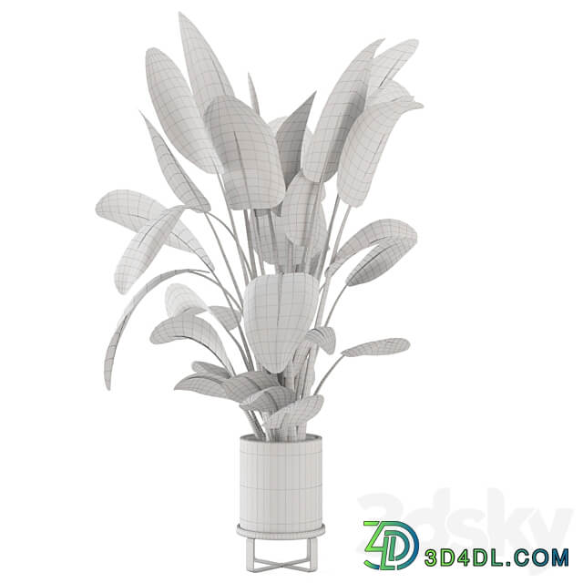 Indoor Plants in Ferm Living Bau Pot Large Set 765 3D Models