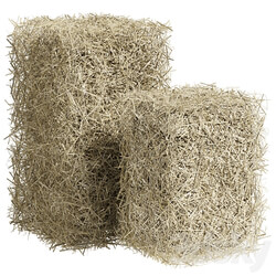 Bales of hay 3D Models 