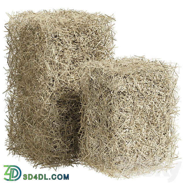 Bales of hay 3D Models