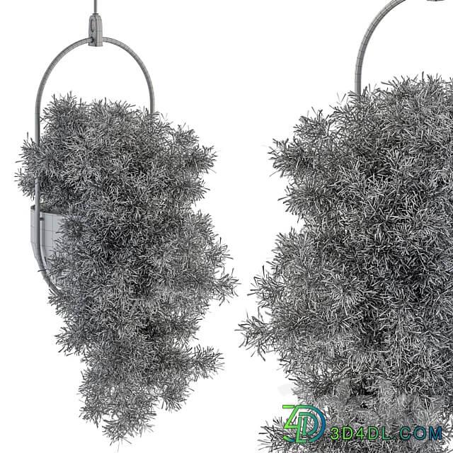 indoor Plant Set 396 Hanging Plants 3D Models