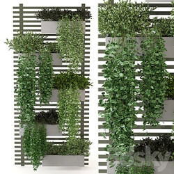 Indoor Plants Collection Set 393 Fitowall 3D Models 