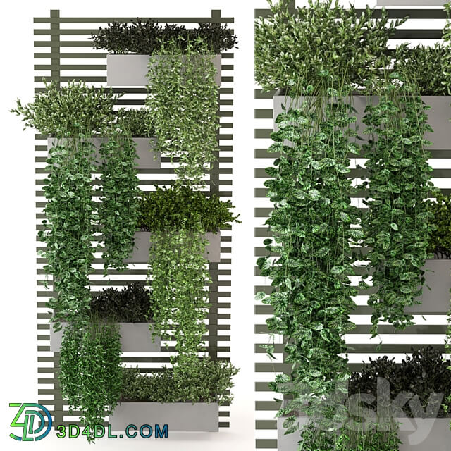 Indoor Plants Collection Set 393 Fitowall 3D Models