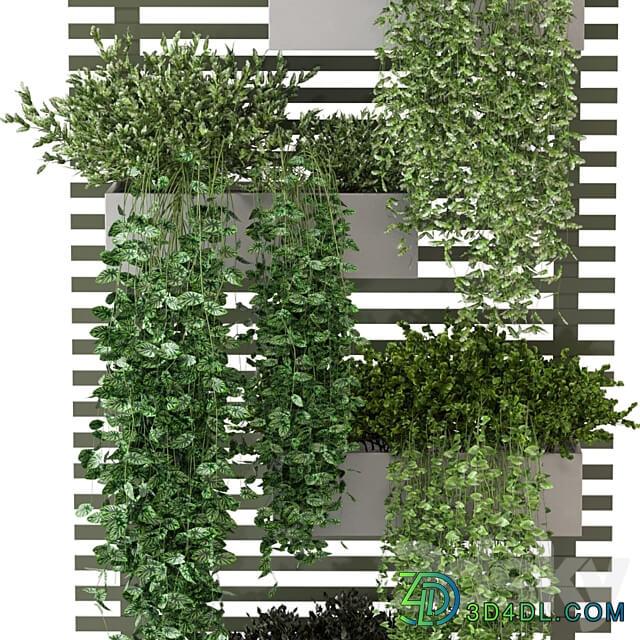 Indoor Plants Collection Set 393 Fitowall 3D Models