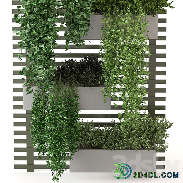 Indoor Plants Collection Set 393 Fitowall 3D Models