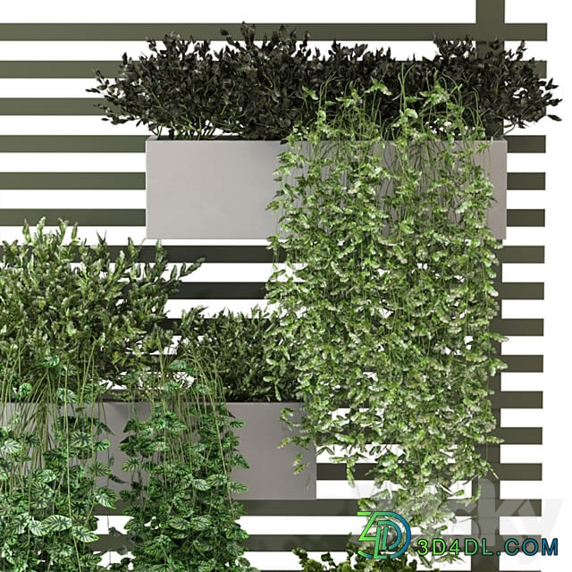 Indoor Plants Collection Set 393 Fitowall 3D Models