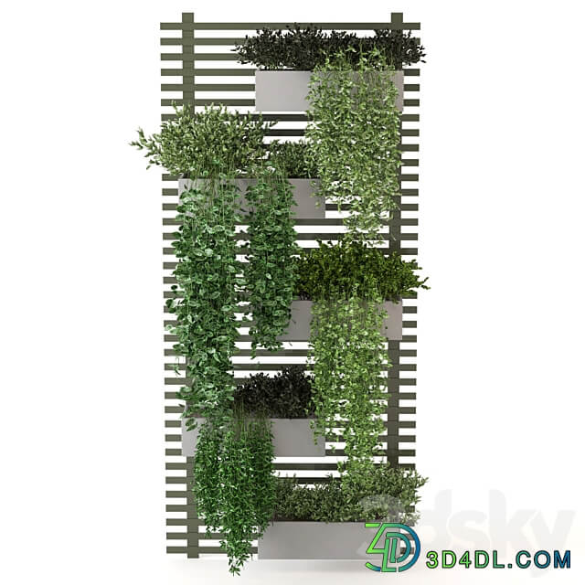 Indoor Plants Collection Set 393 Fitowall 3D Models