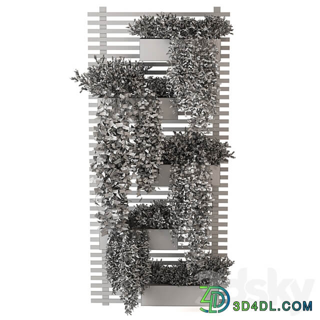 Indoor Plants Collection Set 393 Fitowall 3D Models