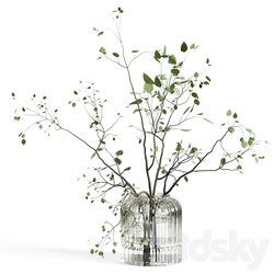 Branches plant with galss vase white bouquet 22 3D Models 