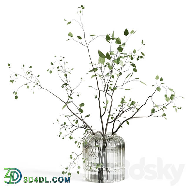 Branches plant with galss vase white bouquet 22 3D Models