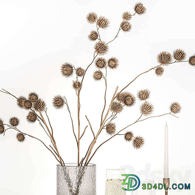 Bouquet 253. dried flower branches thorns eco design dry vase natural decor bouquet thorn wedding a glass of sparkling wine 3D Models