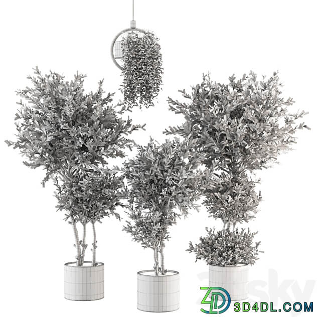 Indoor Plants Collection Set 416 3D Models