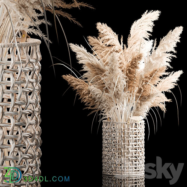 Bouquet of white dried flowers for decor in a wicker basket dry reed decor pampas grass Cortaderia. 256. 3D Models