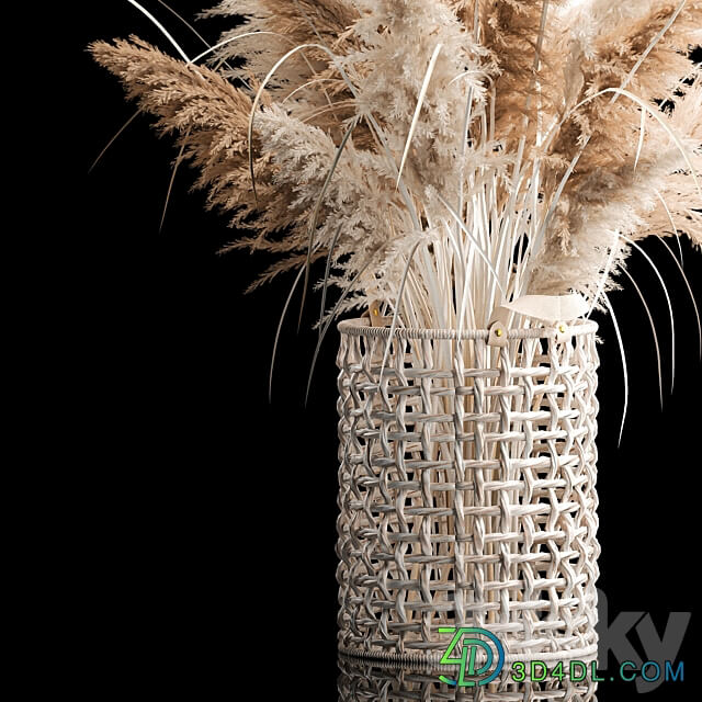 Bouquet of white dried flowers for decor in a wicker basket dry reed decor pampas grass Cortaderia. 256. 3D Models