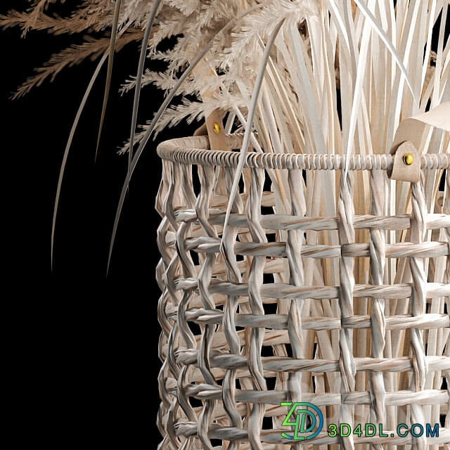 Bouquet of white dried flowers for decor in a wicker basket dry reed decor pampas grass Cortaderia. 256. 3D Models