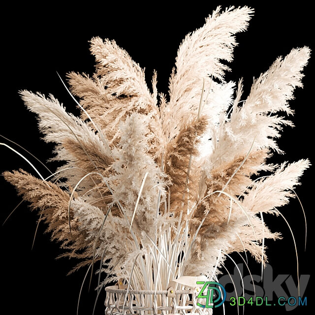 Bouquet of white dried flowers for decor in a wicker basket dry reed decor pampas grass Cortaderia. 256. 3D Models