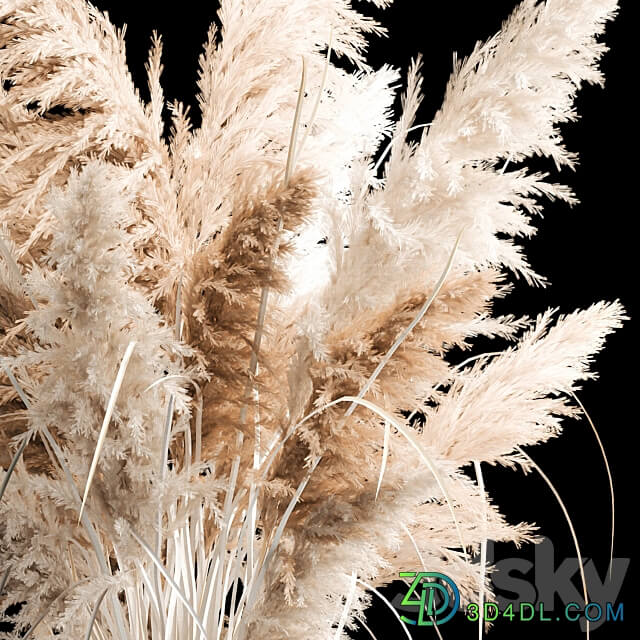 Bouquet of white dried flowers for decor in a wicker basket dry reed decor pampas grass Cortaderia. 256. 3D Models