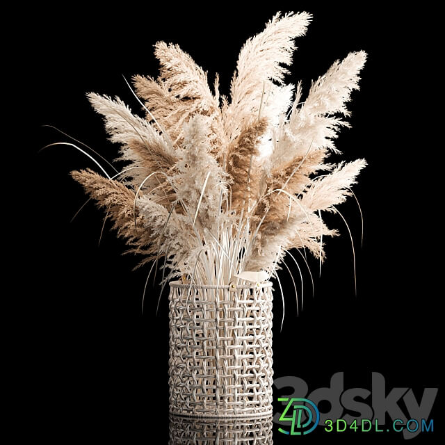 Bouquet of white dried flowers for decor in a wicker basket dry reed decor pampas grass Cortaderia. 256. 3D Models