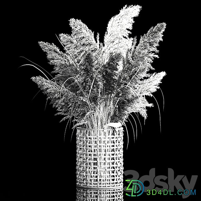 Bouquet of white dried flowers for decor in a wicker basket dry reed decor pampas grass Cortaderia. 256. 3D Models