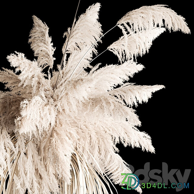 Suspended bouquet of dry reeds for decoration and interior dried flowers from pampas grass dry reeds Cortaderia. 260. 3D Models