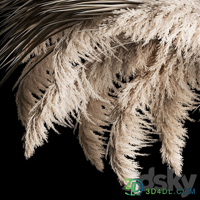 Suspended bouquet of dry reeds for decoration and interior dried flowers from pampas grass dry reeds Cortaderia. 260. 3D Models