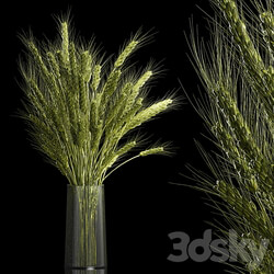 Bouquet of green flowers in a glass vase for decoration of wheat branches spikelet. 265. 3D Models 