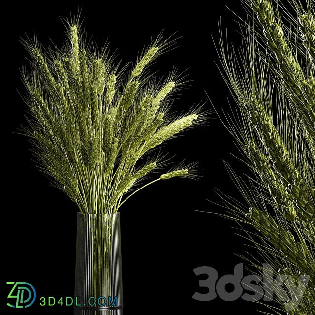 Bouquet of green flowers in a glass vase for decoration of wheat branches spikelet. 265. 3D Models