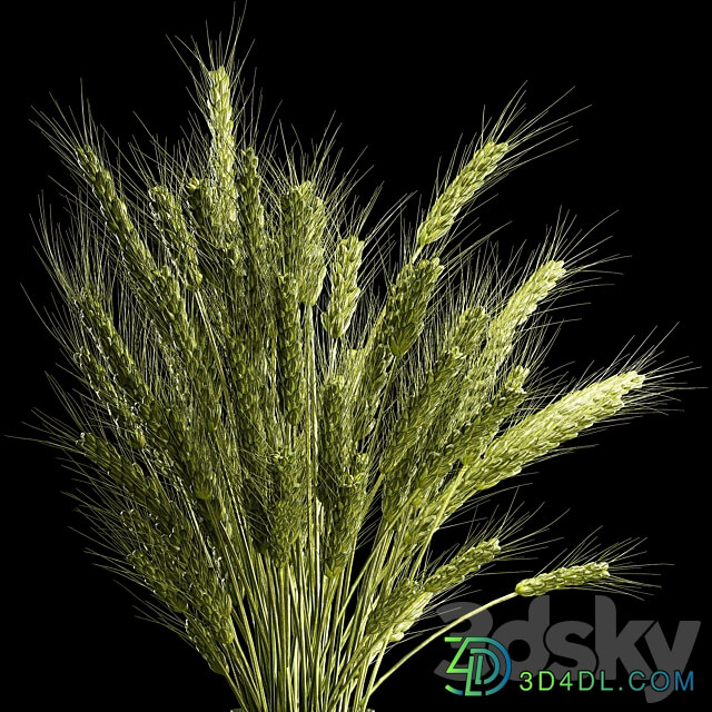 Bouquet of green flowers in a glass vase for decoration of wheat branches spikelet. 265. 3D Models