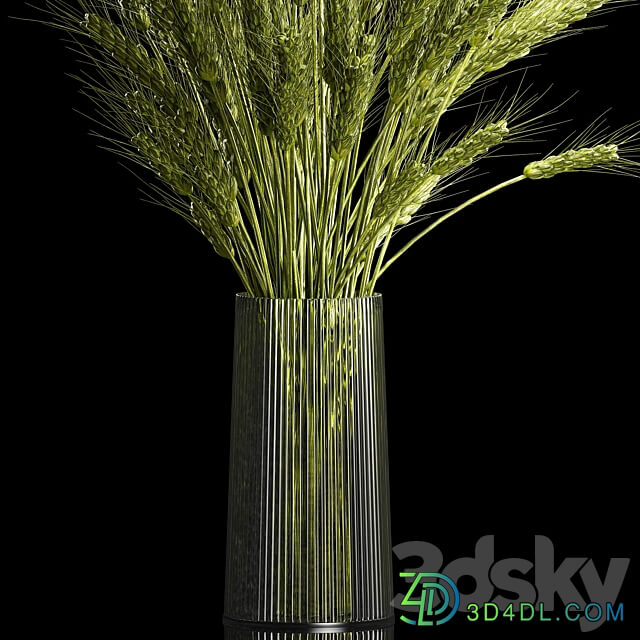 Bouquet of green flowers in a glass vase for decoration of wheat branches spikelet. 265. 3D Models