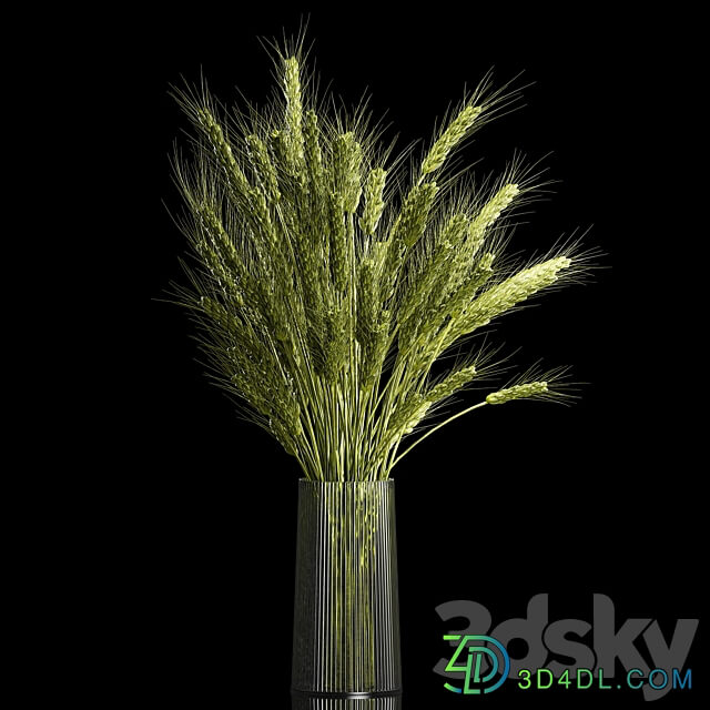 Bouquet of green flowers in a glass vase for decoration of wheat branches spikelet. 265. 3D Models