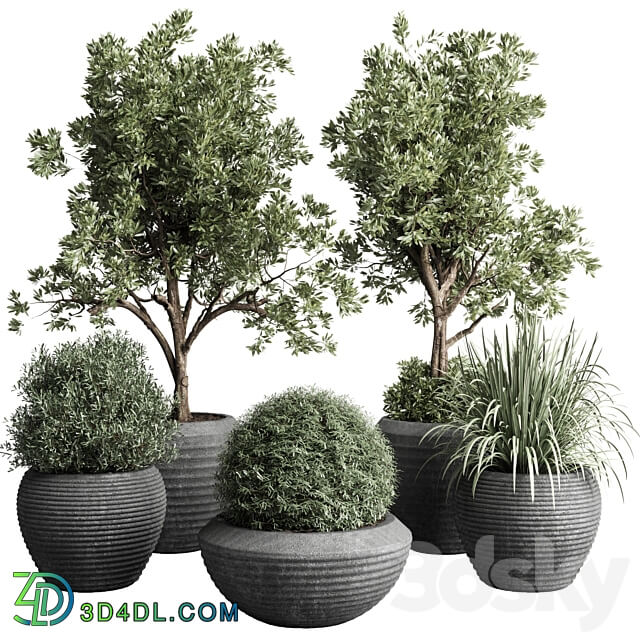 Collection indoor outdoor plant 120 plant tree grass vase dirty concrete 3D Models