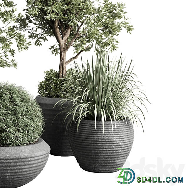 Collection indoor outdoor plant 120 plant tree grass vase dirty concrete 3D Models