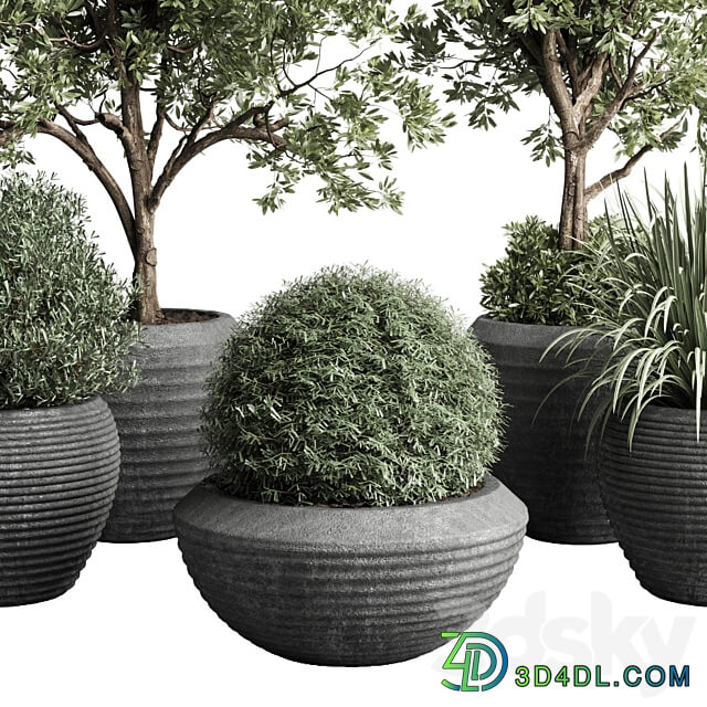 Collection indoor outdoor plant 120 plant tree grass vase dirty concrete 3D Models